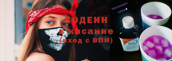 соль ск Арсеньев