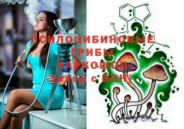 соль ск Арсеньев