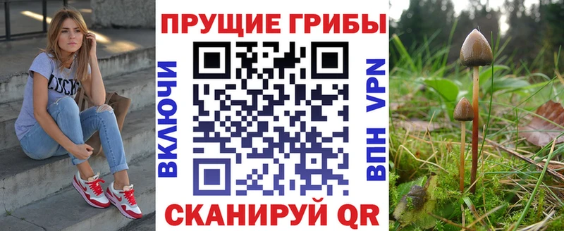 Галлюциногенные грибы прущие грибы  Нефтекумск 